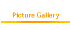 Picture Gallery