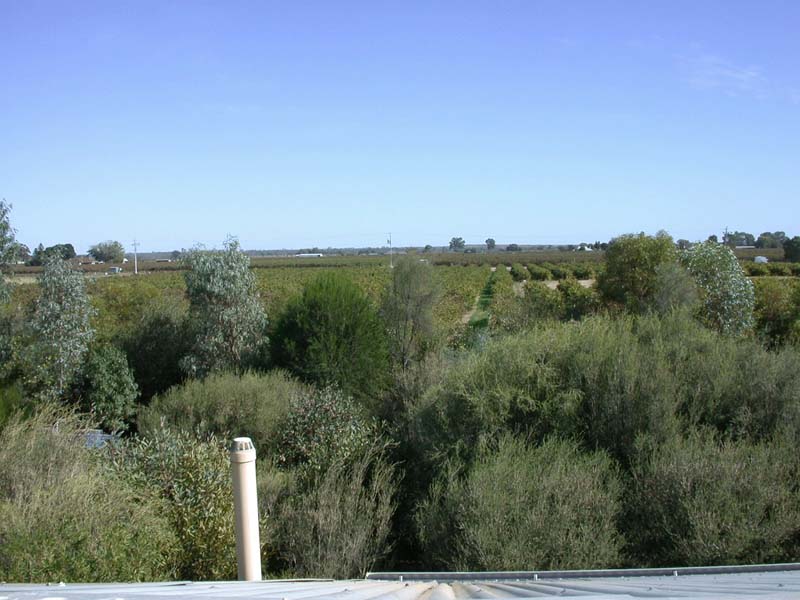 Front wineyard from roof