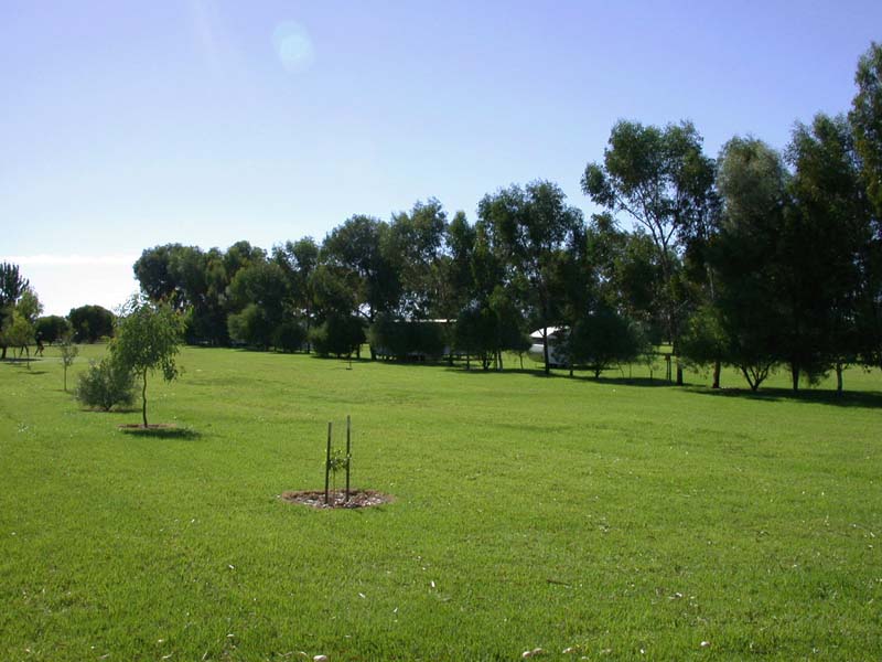 Park 5