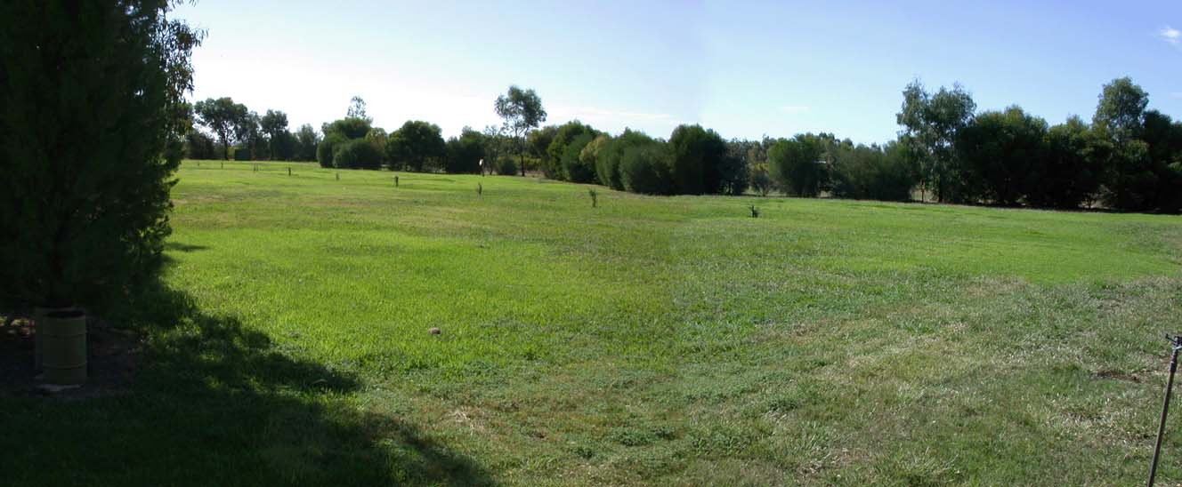 Park area panorama